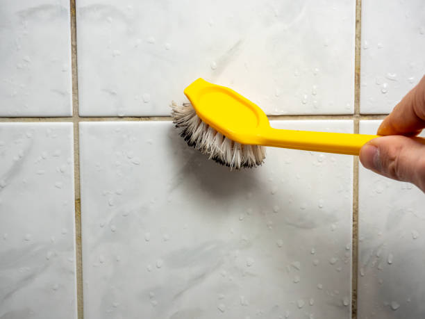 Trusted Culloden, WV Mold Remediation Experts